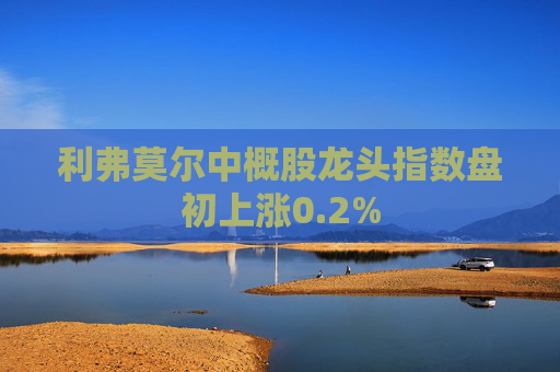 利弗莫尔中概股龙头指数盘初上涨0.2%  第1张