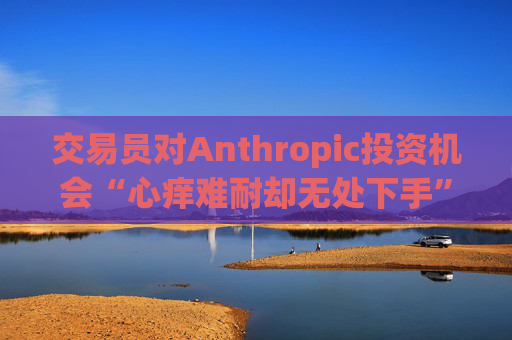 交易员对Anthropic投资机会“心痒难耐却无处下手”