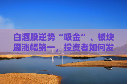 白酒股逆势“吸金”、板块周涨幅第一,投资者如何发掘舍得酒业的“质价比” 第1张 白酒股逆势“吸金”、板块周涨幅第一,投资者如何发掘舍得酒业的“质价比” 第1张