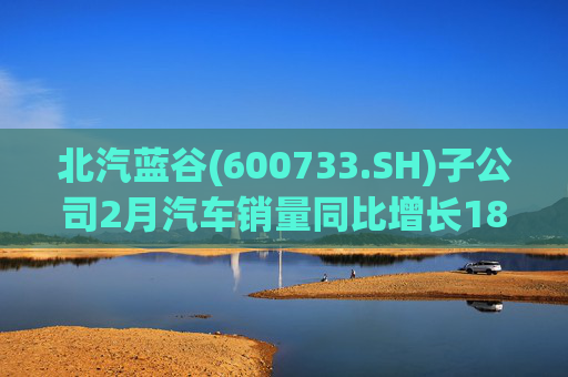 北汽蓝谷(600733.SH)子公司2月汽车销量同比增长18.26%  第1张