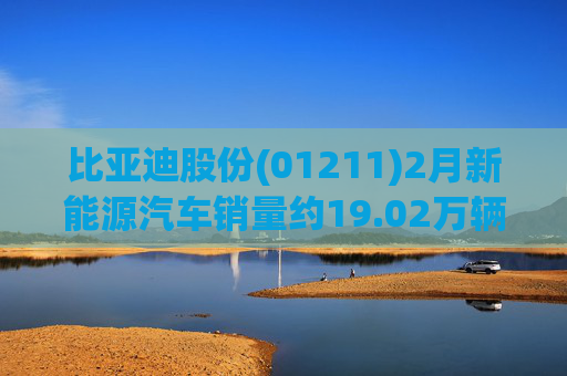 比亚迪股份(01211)2月新能源汽车销量约19.02万辆