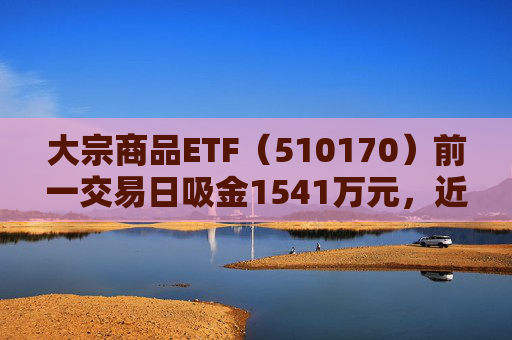大宗商品ETF（510170）前一交易日吸金1541万元，近一周涨幅达5.06%  第1张