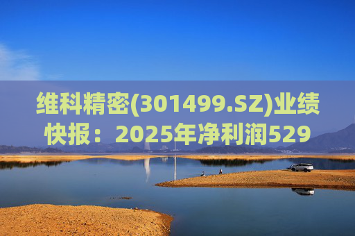 维科精密(301499.SZ)业绩快报：2025年净利润5293.82万元 同比增长16.85%