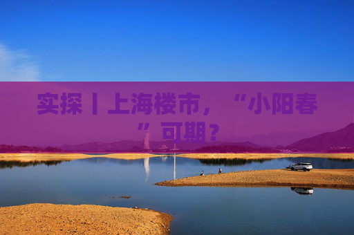 实探丨上海楼市，“小阳春”可期？  第1张