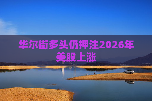 华尔街多头仍押注2026年美股上涨