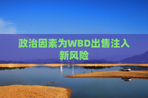政治因素为WBD出售注入新风险