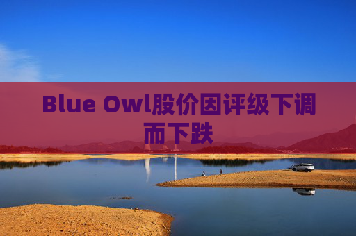 Blue Owl股价因评级下调而下跌
