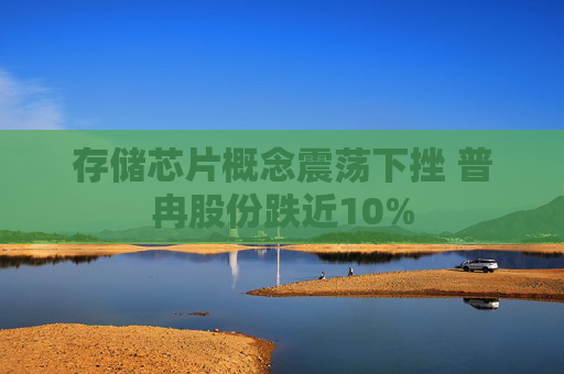 存储芯片概念震荡下挫 普冉股份跌近10%
