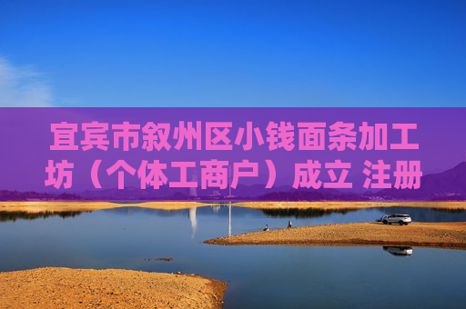 宜宾市叙州区小钱面条加工坊（个体工商户）成立 注册资本30万人民币