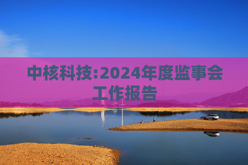 中核科技:2024年度监事会工作报告