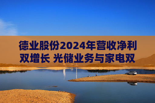 德业股份2024年营收净利双增长 光储业务与家电双轮驱动发力