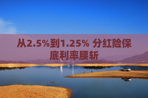 从2.5%到1.25% 分红险保底利率腰斩