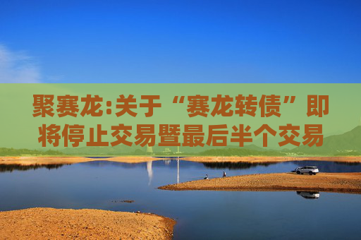 聚赛龙:关于“赛龙转债”即将停止交易暨最后半个交易日的重要提示性公告