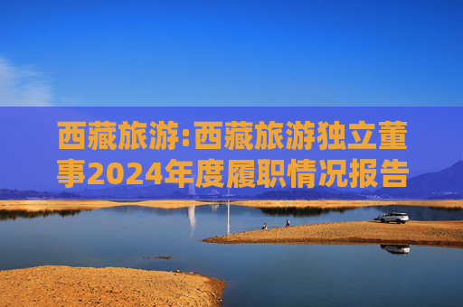 西藏旅游:西藏旅游独立董事2024年度履职情况报告(高金波)
