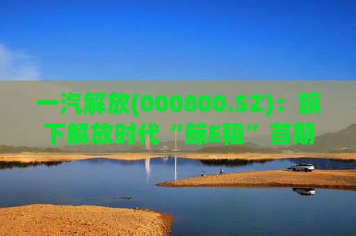 一汽解放(000800.SZ)：旗下解放时代“鲸E租”首期新能源重卡已按计划完成投放  第1张