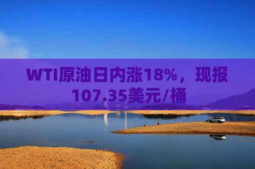 WTI原油日内涨18%，现报107.35美元/桶