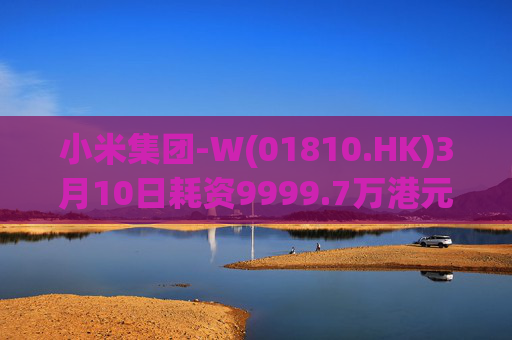 小米集团-W(01810.HK)3月10日耗资9999.7万港元回购297.7万股