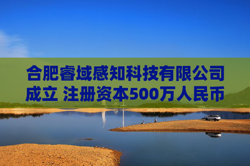 合肥睿域感知科技有限公司成立 注册资本500万人民币