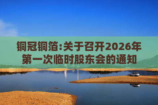 铜冠铜箔:关于召开2026年第一次临时股东会的通知
