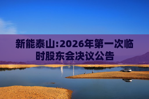 新能泰山:2026年第一次临时股东会决议公告
