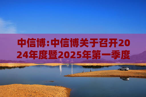 中信博:中信博关于召开2024年度暨2025年第一季度业绩说明会的公告