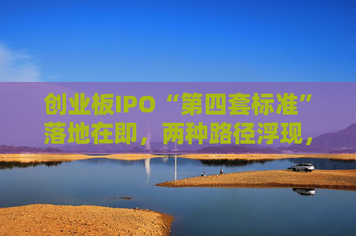 创业板IPO“第四套标准”落地在即，两种路径浮现，新消费回流A股悬念拉满