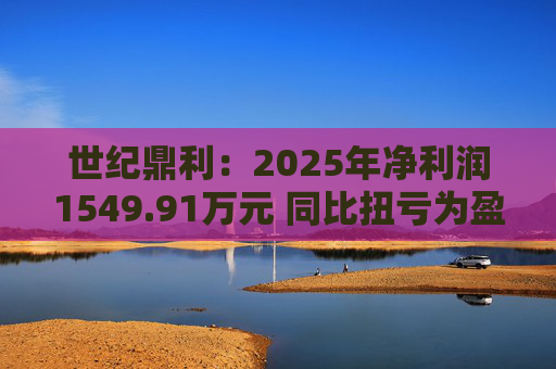 世纪鼎利：2025年净利润1549.91万元 同比扭亏为盈  第1张