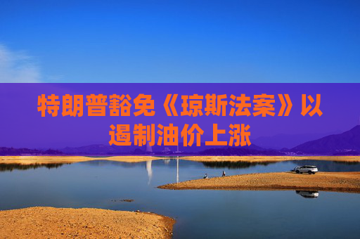 特朗普豁免《琼斯法案》以遏制油价上涨  第1张