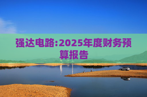 强达电路:2025年度财务预算报告