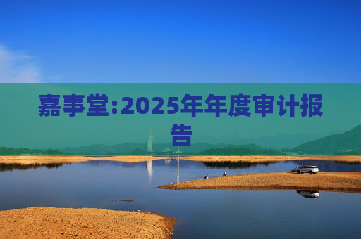 嘉事堂:2025年年度审计报告