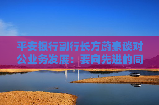 平安银行副行长方蔚豪谈对公业务发展：要向先进的同行多去学习，同时要大快步赶上