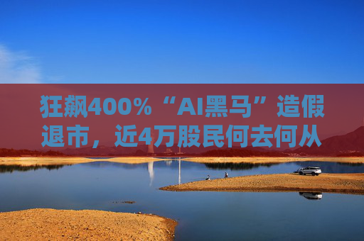狂飙400%“AI黑马”造假退市，近4万股民何去何从？  第1张