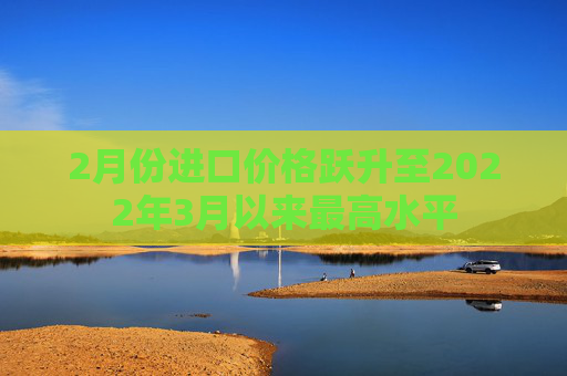 2月份进口价格跃升至2022年3月以来最高水平