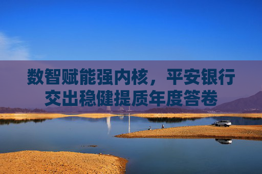数智赋能强内核，平安银行交出稳健提质年度答卷