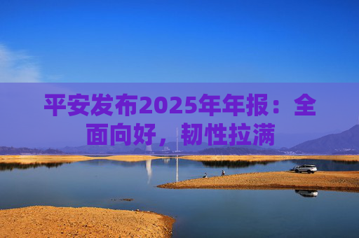 平安发布2025年年报：全面向好，韧性拉满