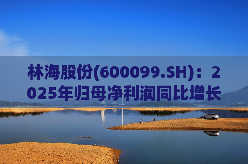 林海股份(600099.SH)：2025年归母净利润同比增长33.24%，每股拟派利0.045元