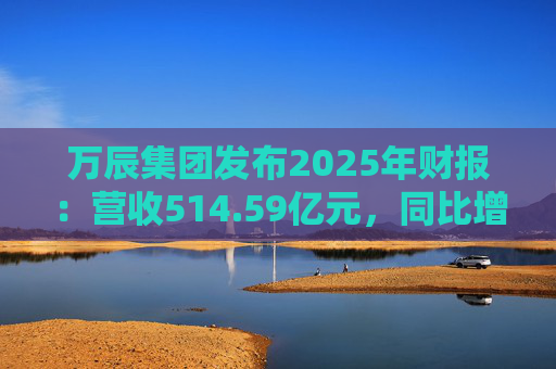 万辰集团发布2025年财报：营收514.59亿元，同比增长59.17%