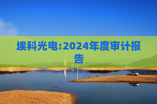 埃科光电:2024年度审计报告