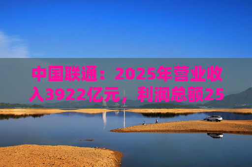 中国联通：2025年营业收入3922亿元，利润总额253亿元