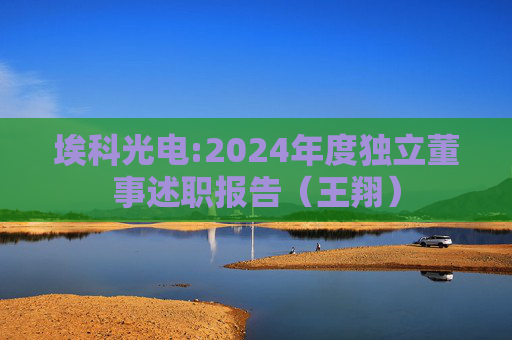 埃科光电:2024年度独立董事述职报告（王翔）