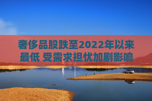 奢侈品股跌至2022年以来最低 受需求担忧加剧影响