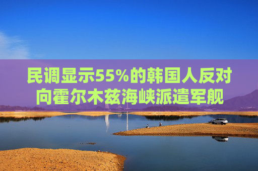 民调显示55%的韩国人反对向霍尔木兹海峡派遣军舰