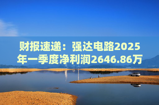 财报速递:强达电路2025年一季度净利润2646.86万元
