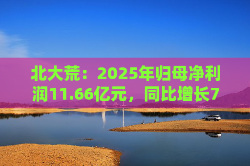 北大荒：2025年归母净利润11.66亿元，同比增长7.26%  第1张