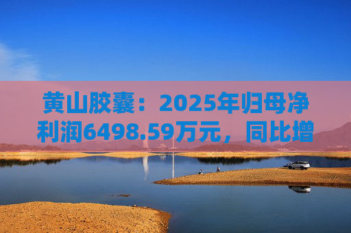 黄山胶囊：2025年归母净利润6498.59万元，同比增长31.94%