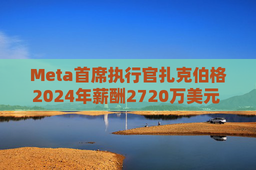 Meta首席执行官扎克伯格2024年薪酬2720万美元 高于上年的2440万美元
