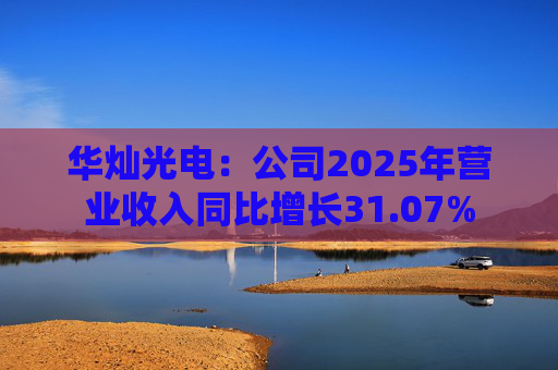 华灿光电：公司2025年营业收入同比增长31.07%