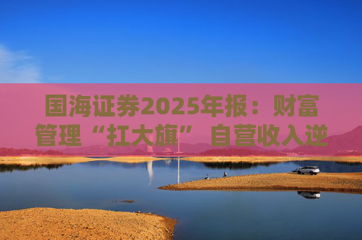 国海证券2025年报：财富管理“扛大旗” 自营收入逆势大降 投行收入占比仅2%