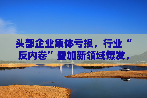 头部企业集体亏损，行业“反内卷”叠加新领域爆发，光伏“故事”正进入下一章