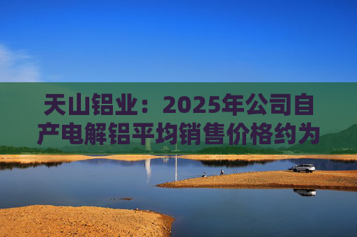 天山铝业：2025年公司自产电解铝平均销售价格约为20600元/吨
